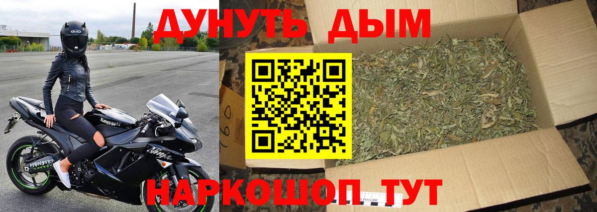 Канабис семена Кувандык